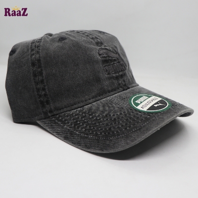 Picture of Deep Ash Puma Embroidery Logo Cotton Curved Cap