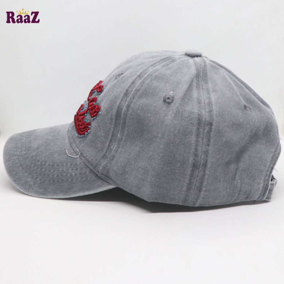 Picture of Silver Los Angles Embroidery Logo Imported Cap