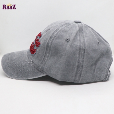 Picture of Silver Los Angles Embroidery Logo Imported Cap