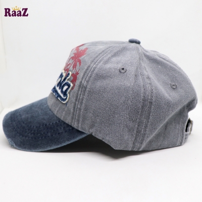Picture of Silver California Wash Baseball Imported Cap