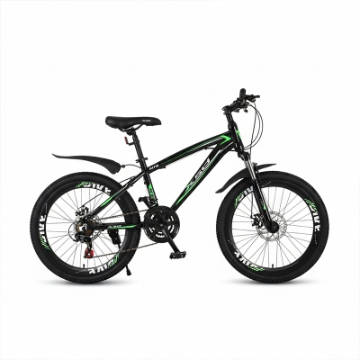 Picture of XSD 20 Inch Spok Rim Mountain Bicycle (Green)