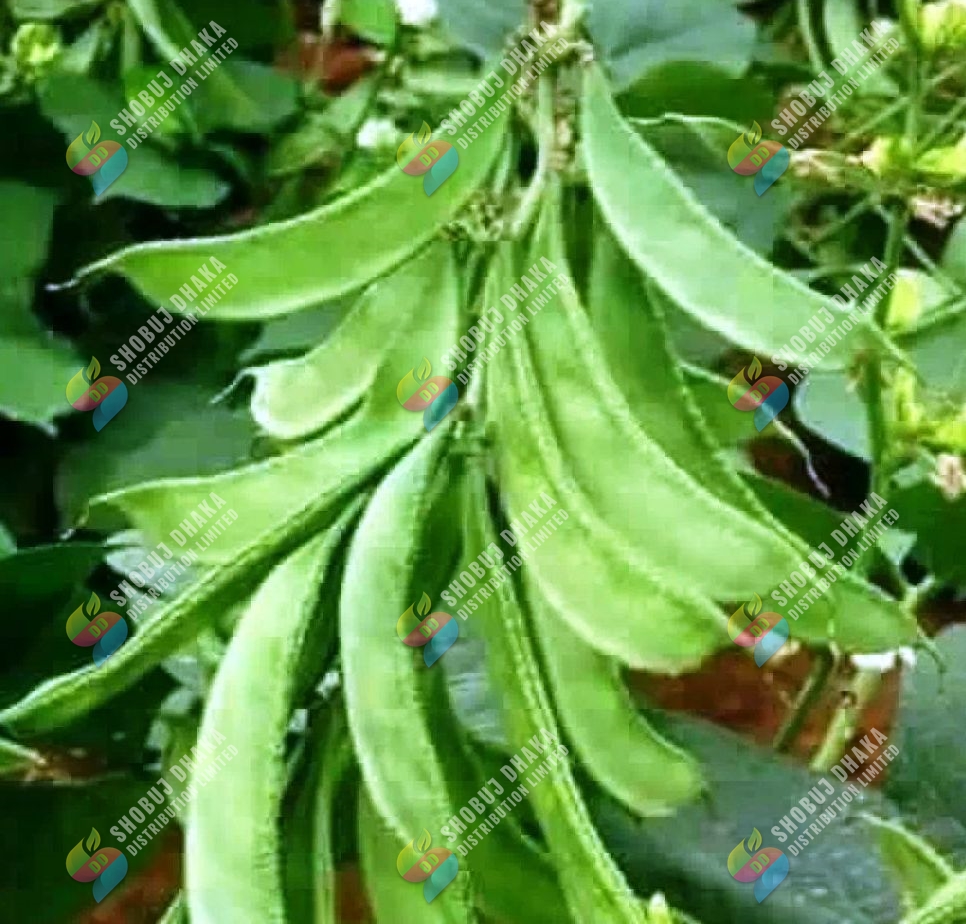 Picture of Organic Rice Husk (Dhaner Khosa) Half kg For Plant