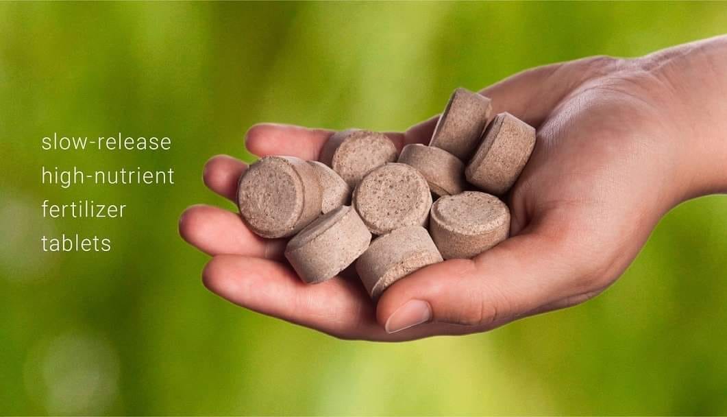 Picture of Silvamix Slow Release Tablet Fertilizer 3pc