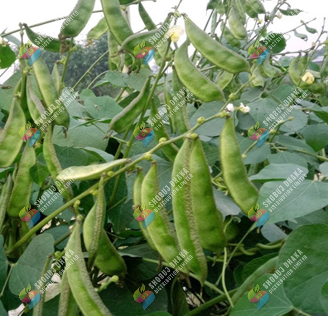 Picture of Sarpan Sim Seeds Hybrid 5gm Pack