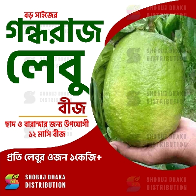 Picture of Hybrid Gandharaj Lemon Seeds 5pc