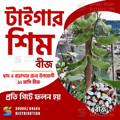 Picture of Tiger Shim Seeds Hybrid 5 GM