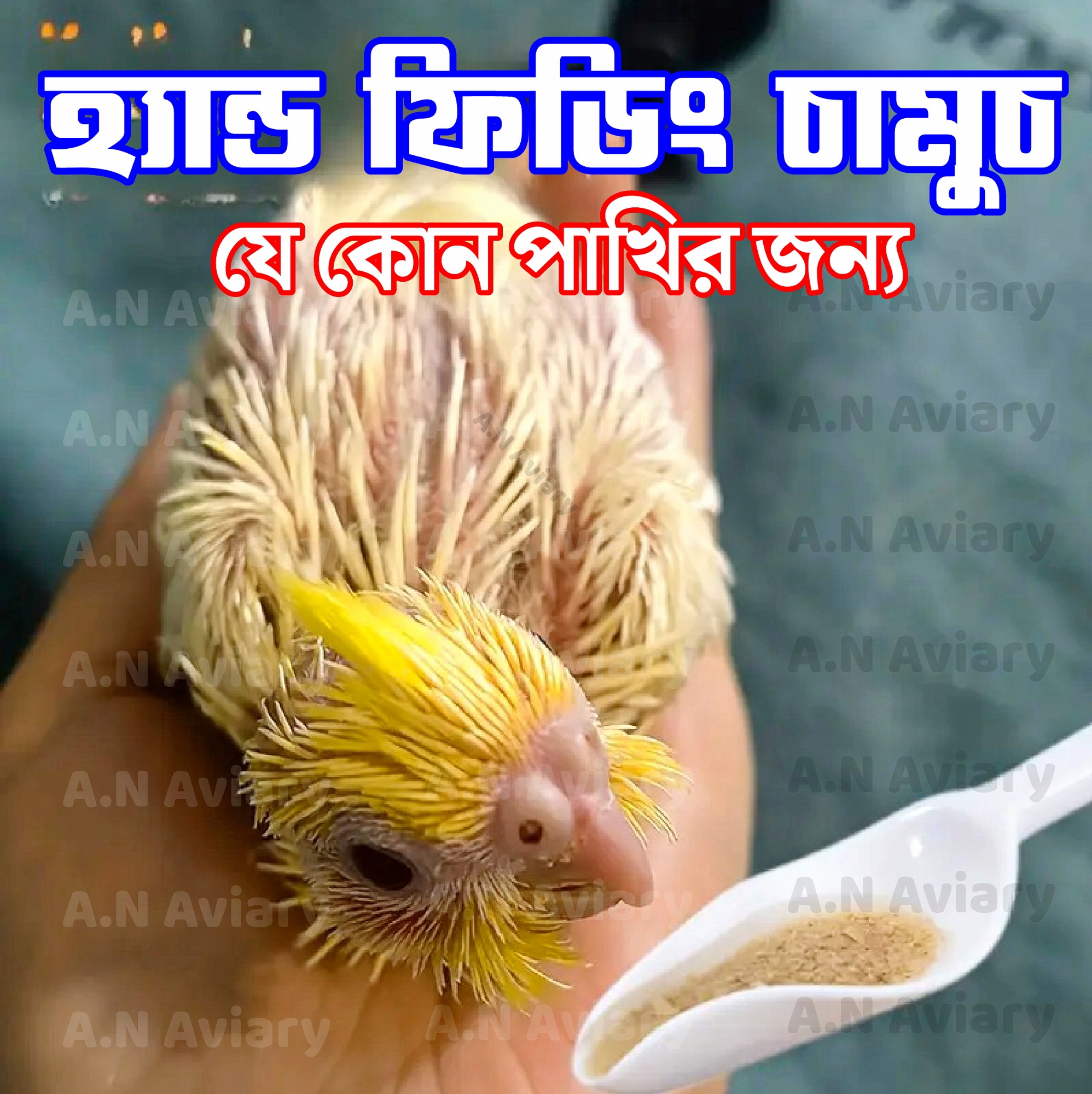 Picture of 1Pc Bird Feeding Spoon - Suitable for Parrot Chicks - Perfect Gift for Bird Lovers