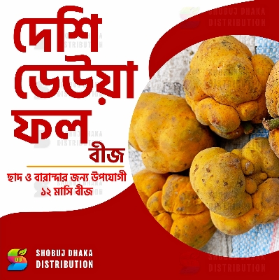 Picture of Deshi Dewa Fruit Seeds 10pc