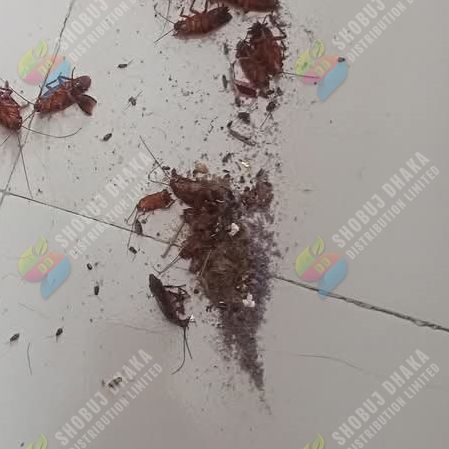 Picture of China Cockroach Killing Gel 50gm