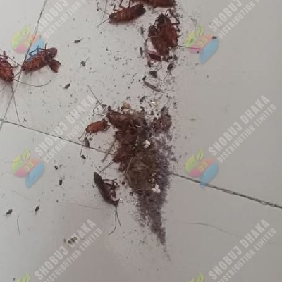 Picture of China Cockroach Killing Gel 50gm