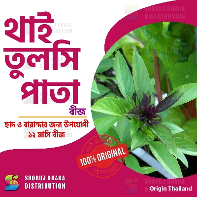 Picture of Thai Basil (Tulsi) Seeds ১০ পিস
