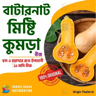 Picture of Butternut Pumpkin Squash Seeds F1 Hybrid 10pc