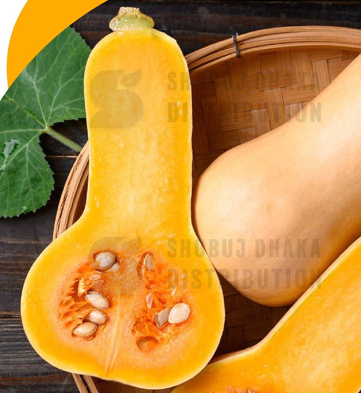 Picture of Butternut Pumpkin Squash Seeds F1 Hybrid 10pc