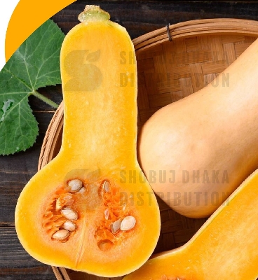 Picture of Butternut Pumpkin Squash Seeds F1 Hybrid 10pc