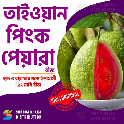 Picture of Taiwan Pink Guava Rare Dwarf Variety ১০ পিস