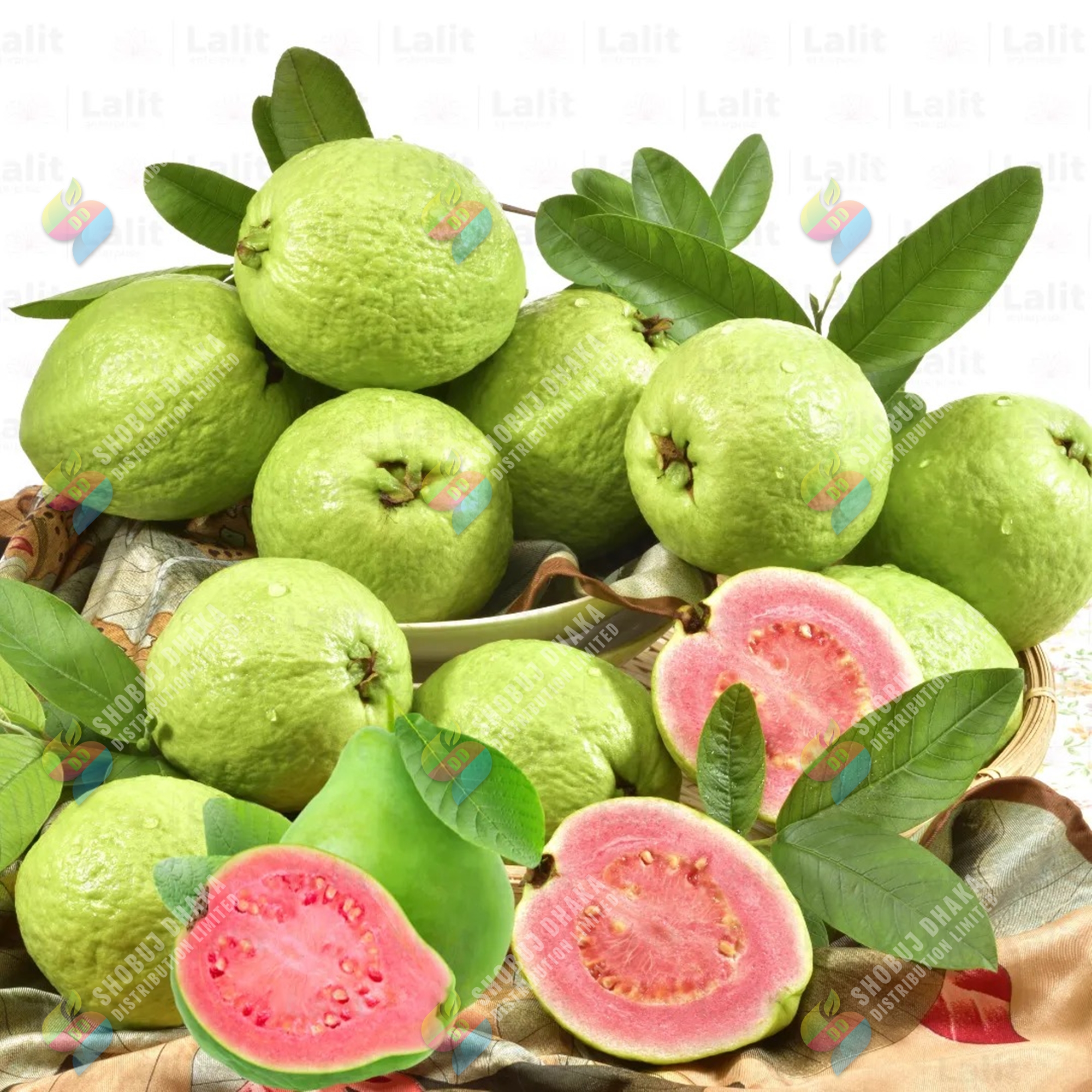 Picture of Taiwan Pink Guava Rare Dwarf Variety ১০ পিস