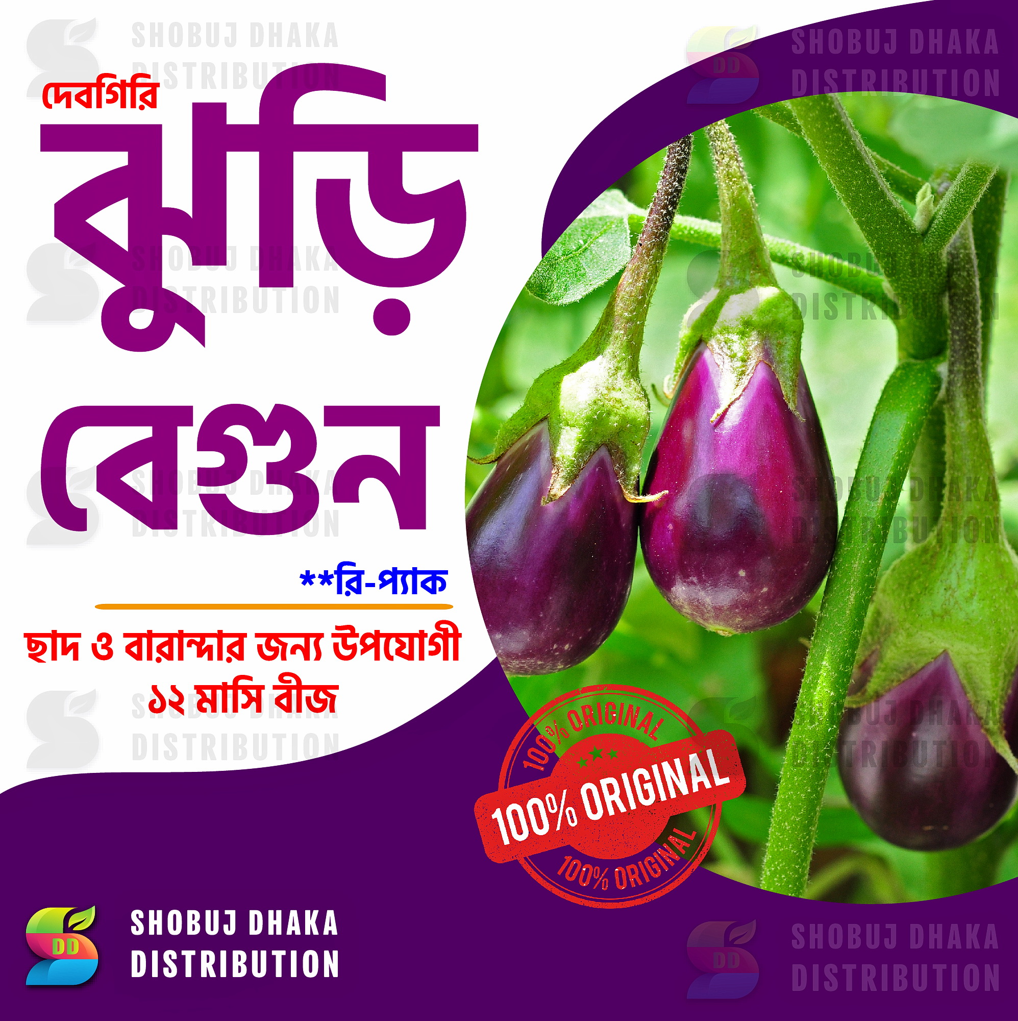 Picture of Original Debgiri Jhuri Begun Seeds 1gm Pack Indian