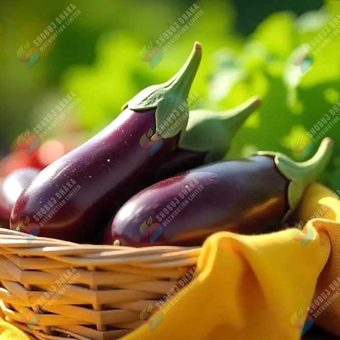 Picture of Original Debgiri Jhuri Begun Seeds 1gm Pack Indian