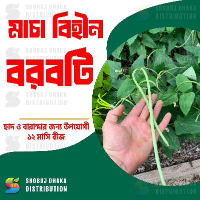 Picture of All Season Stickless Borboti Seed 2gm Pack