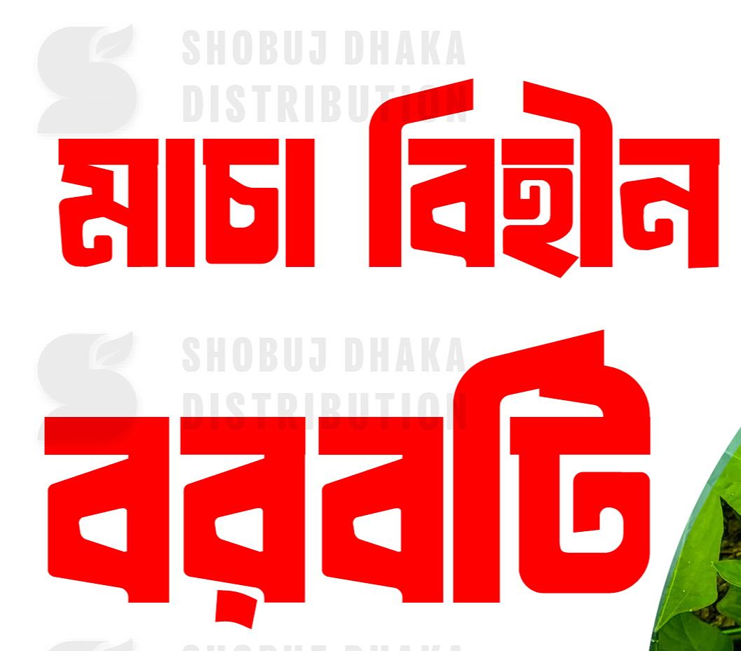 Picture of All Season Stickless Borboti Seed 2gm Pack