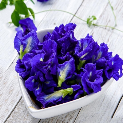 Picture of Exclusive Oporajita Flower Seeds 5 Pcs