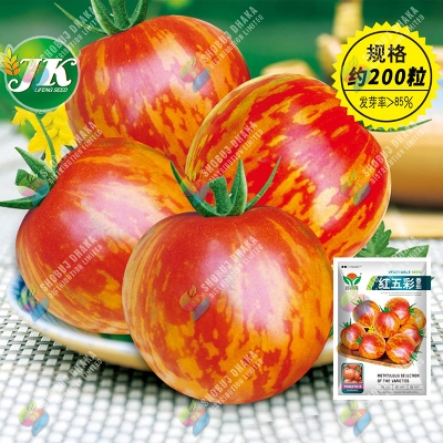 Picture of Zebra Tomato Seeds 30+ Seeds F1 Hybrid