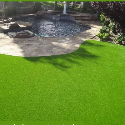 Picture of Organic Carpet Grass Seeds Imported 100 gm Pack