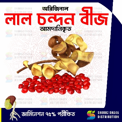 Picture of Red Sandalwood -Lal Chandan Seeds 5pc