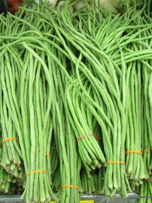 Picture of Long Bean Borboti Hybrid Seeds All Season