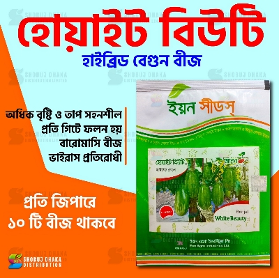 Picture of White Beauty Eggplant Hybrid Seeds All Season