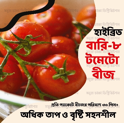 Picture of Hybrid BARI-8 Tomato Seeds Re-Pack 0.1gm Pack