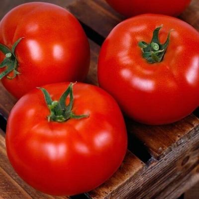 Picture of Hybrid BARI-8 Tomato Seeds Re-Pack 0.1gm Pack