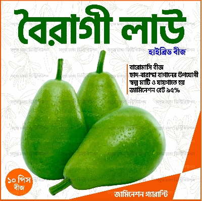 Picture of Hybrid Boiragi Lau Seeds 10pcs গোল জাতের