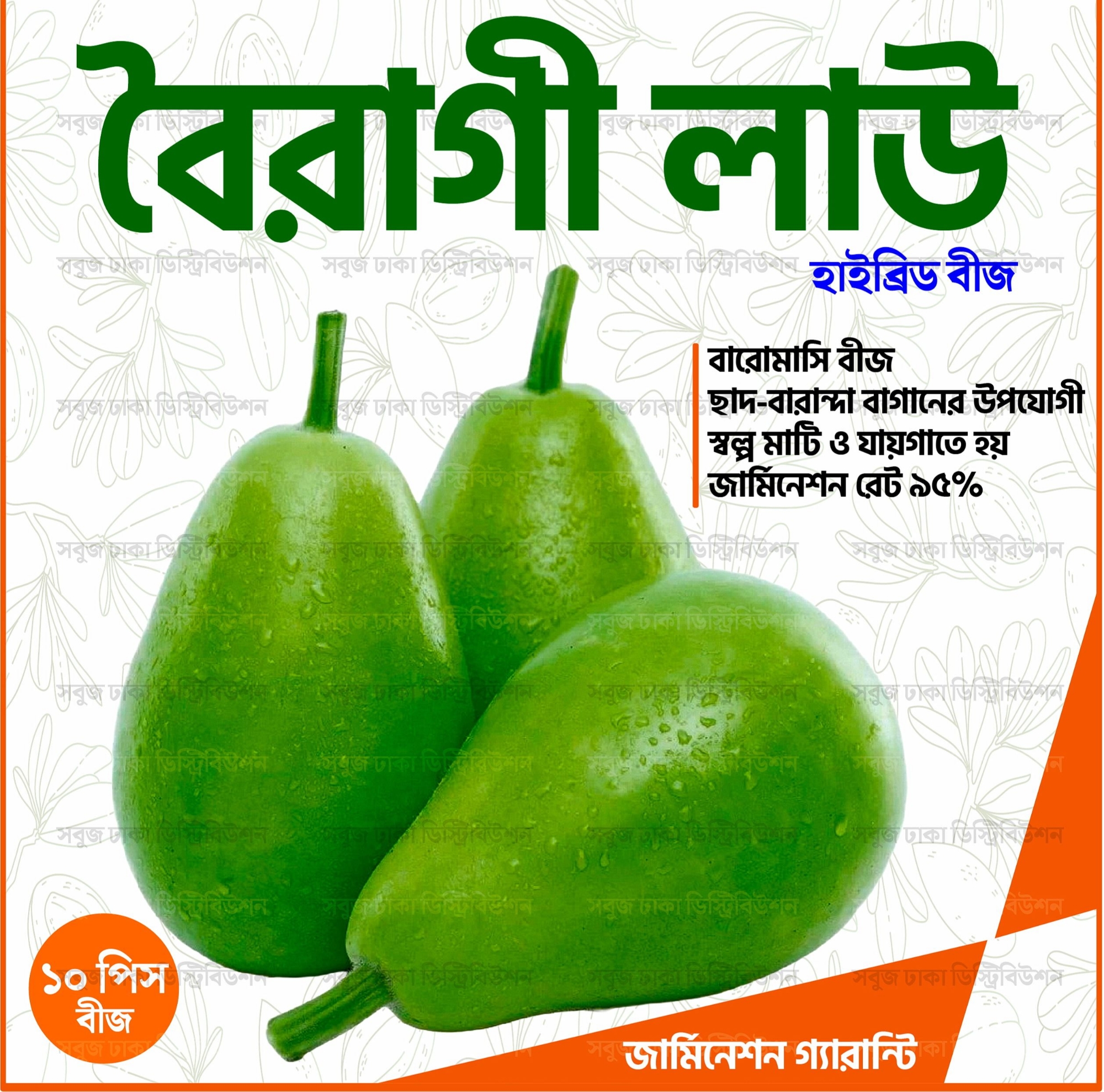 Picture of Hybrid Boiragi Lau Seeds 10pcs গোল জাতের