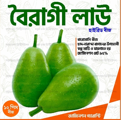 Picture of Hybrid Boiragi Lau Seeds 10pcs গোল জাতের