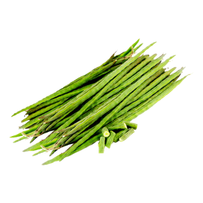 Picture of PKM1 Moringa (sajna) Seeds All Season 3 pcs