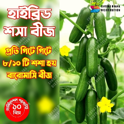 Picture of Hybrid Cucumber Seeds (Sosha) 10pc