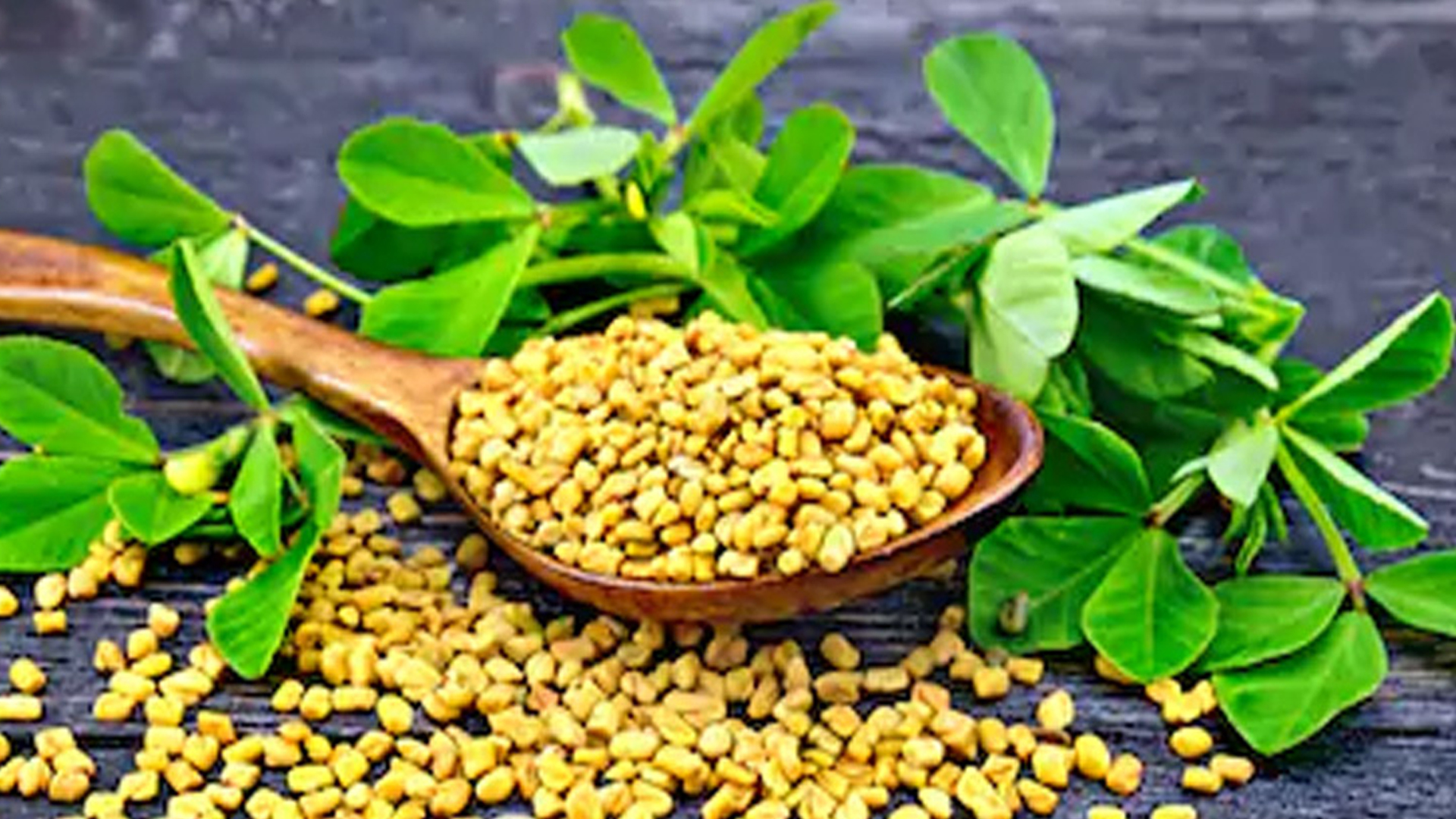 Picture of Methi Shak Seeds 2gm