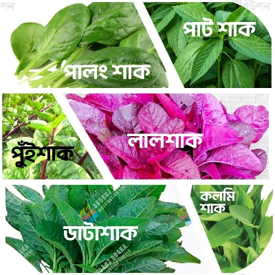 Picture of 6 Item Summer Shak Combo Seeds
