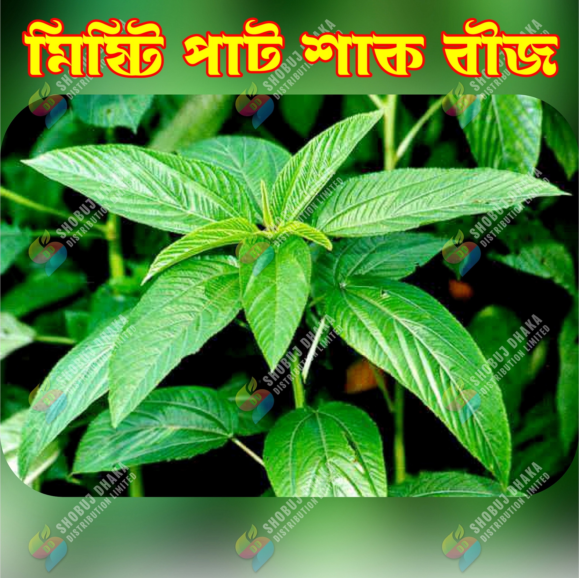 Picture of 6 Item Summer Shak Combo Seeds