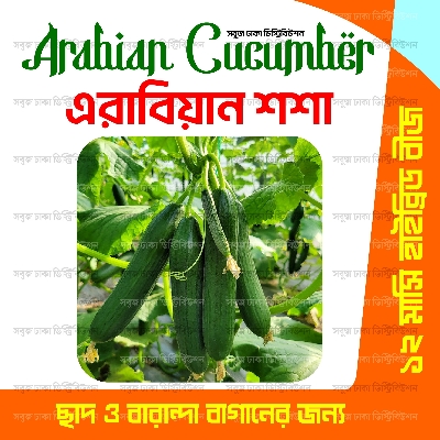 Picture of Original F1 Hybrid Arabian cucumber ( arabian sosha ) 10seeds