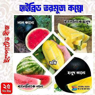 Picture of Summer Watermelon Combo Seeds F1 Hybrid 25pcs Seeds