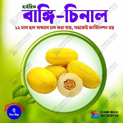 Picture of Hybrid Melon seeds ( Bangi ) All season 5pcs