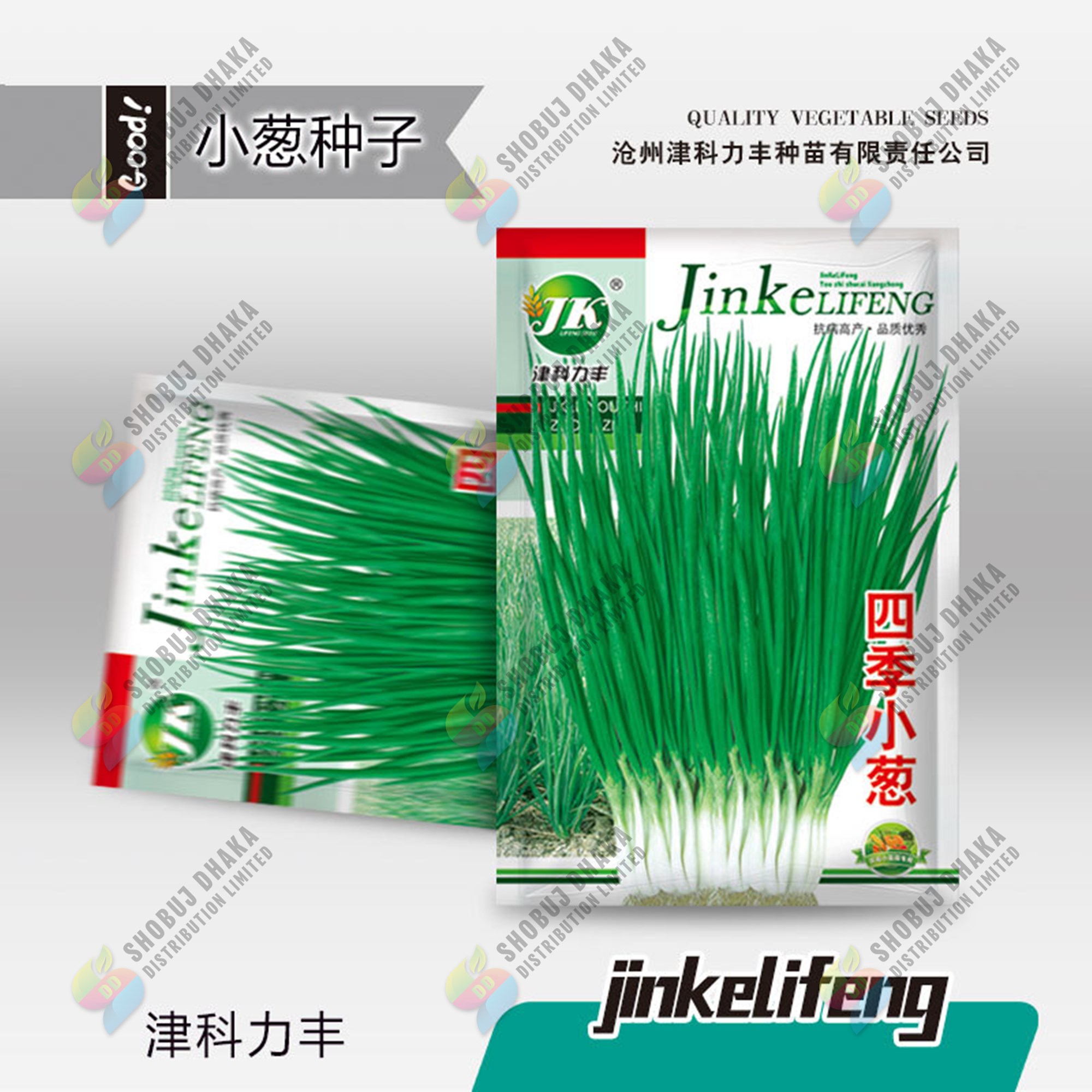 Picture of Spring Onion Seeds 0.1gm