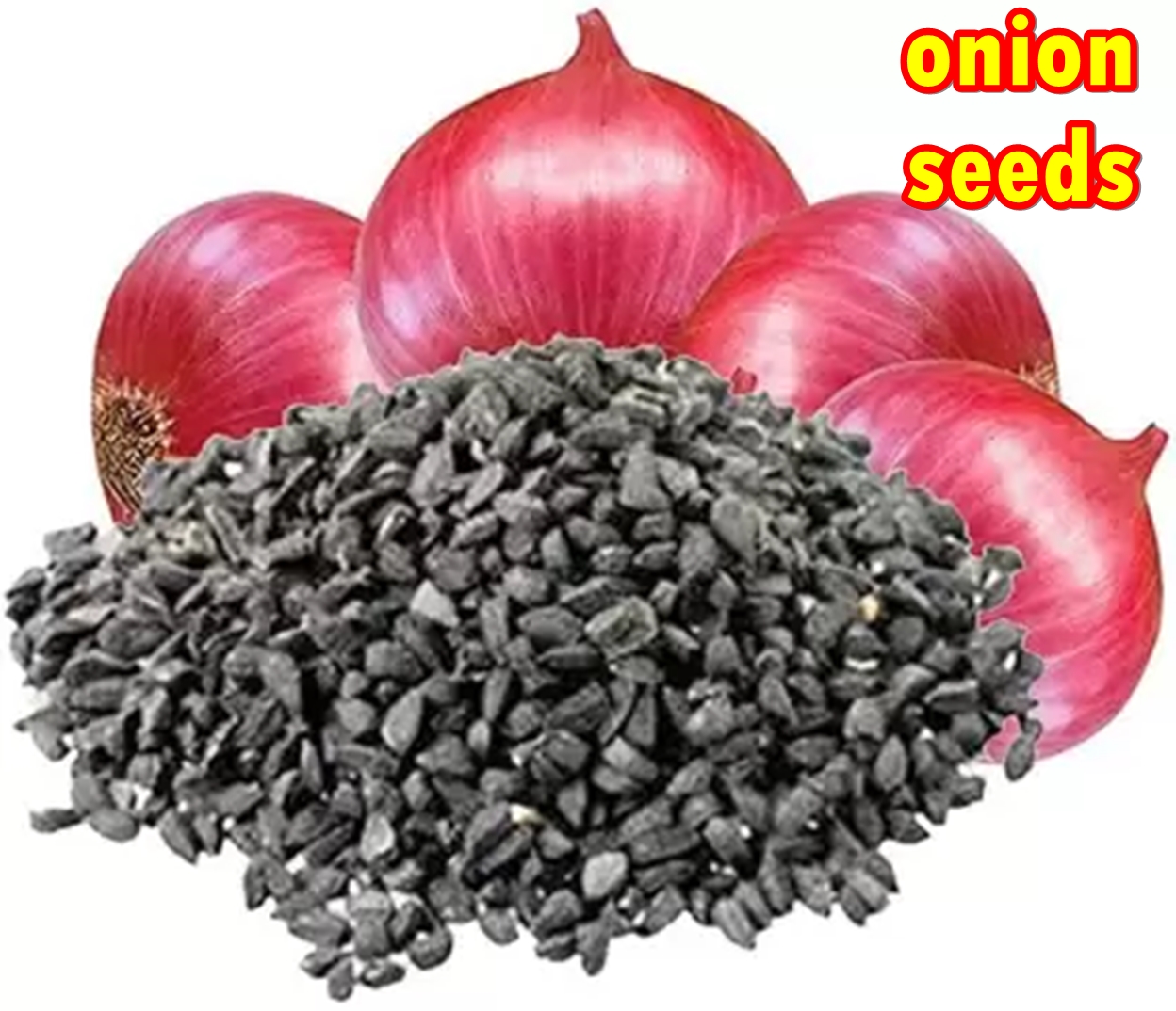 Picture of Giant Red onion Seeds 0.1gm
