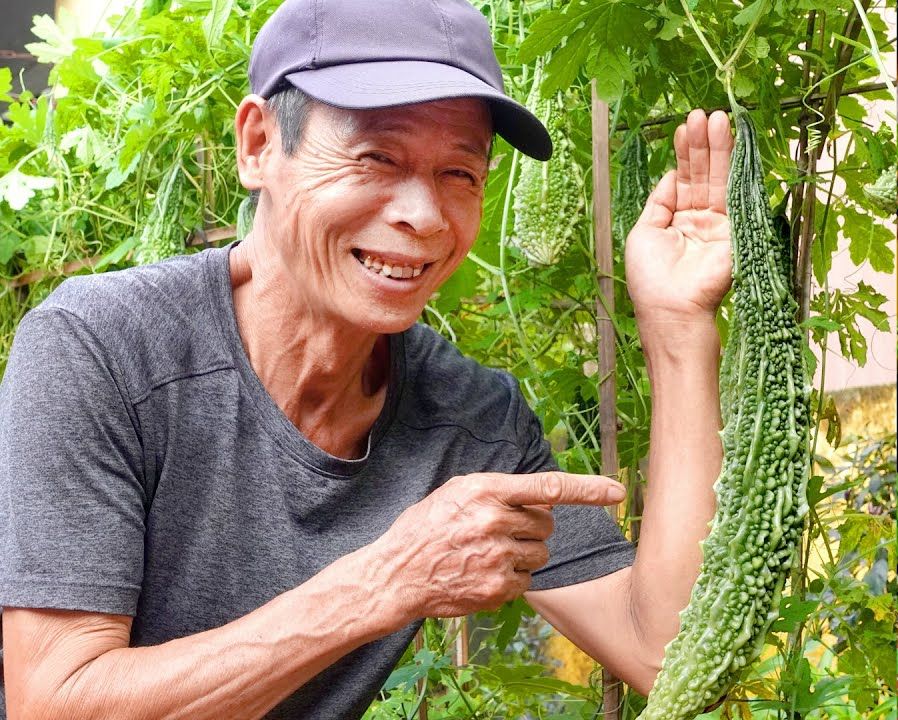 Picture of Giant Long Green Bitter (Korola) Seeds 5pcs Re-Pack