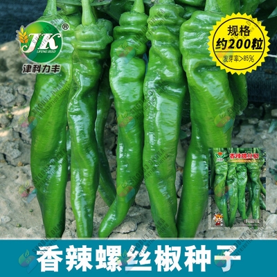 Picture of Giant Green Banana Chili Seeds 10pcs Re-Pack