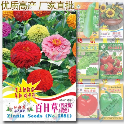 Picture of Hybrid Double Petal Zinnia Flower Seed imported 10 Pcs Re-Pack