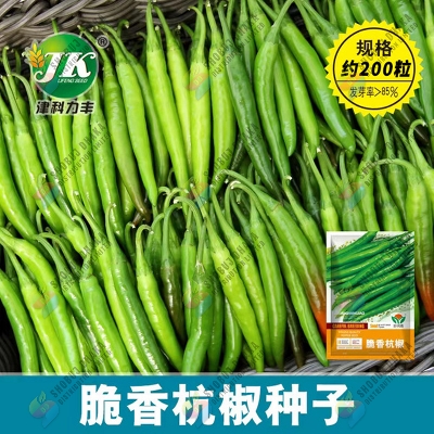 Picture of Giant Chili Seeds 10 Seeds Re-pack