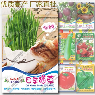 Picture of Top Selling Imported Hybrid Chinese Cat Grass seed - Intact Packet (20g)